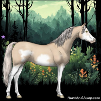Horse Color:Silver Classic Champagne Dun Splash Frame 