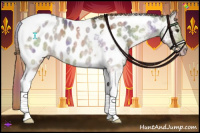 Horse Color:Nacre Liver Red Dun Ice Tobiano Appaloosa