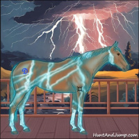 Horse Color:Thunderstruck Chestnut Tobiano