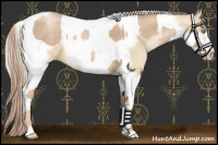 Horse Color:Chocolate Palomino Pearl Tobiano Frame  and Palomino Pearl Tobiano Frame 