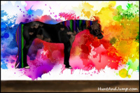 Horse Color:Void Painted Liver Chestnut Tobiano Frame Rabicano 