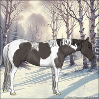 Horse Color:Smoky Blue Roan Tobiano 