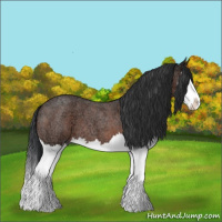 Horse Color:Brown Ice Roan Splash