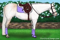 Horse Color:Gray Silver Buckskin 