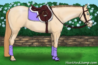 Horse Color:Buckskin Pearl
