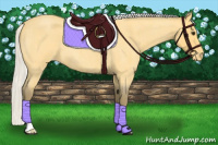 Horse Color:Silver Buckskin Roan Varnish