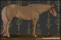 Horse Color:Chocolate Palomino 