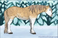 Horse Color:Red Dun Splash and Palomino Dun Splash