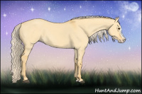 Horse Color:Palomino Dun Splash