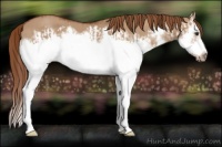 Horse Color:Red Dun Splash  and Red Dun Splash Frame 