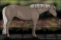 Horse Color:Silver Black 