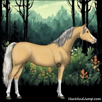 Horse Color:Silver Buckskin Roan Splash 