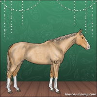 Horse Color:Palomino Roan Splash 