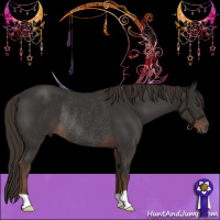 Horse Color:Liver Chestnut Rabicano 