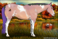 Horse Color:Watercolor Amber Champagne Sabino Tobiano 