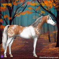 Horse Color:White Spotted Silver Bay Splash 