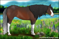 Horse Color:Brown Splash