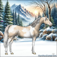 Horse Color:Silver Classic Champagne Ice Dun Splash Tobiano Frame 