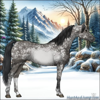 Horse Color:Grullo Ice 