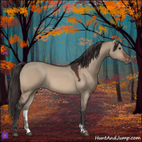 Horse Color:Brown Dun Appaloosa 