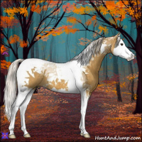 Horse Color:Palomino Splash Tobiano 