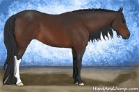 Horse Color:Brown 