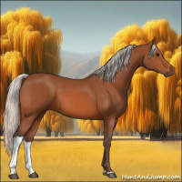 Horse Color:Silver Bay Tobiano 