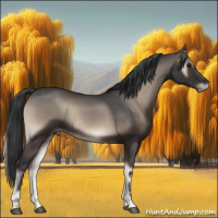 Horse Color:Blue Onyx Sabino Rabicano 