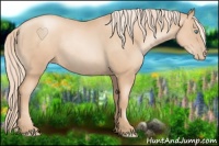 Horse Color:Gold Champagne Pearl Rabicano  and Gold Champagne Pearl Rabicano 