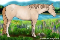 Horse Color:Gold Champagne Pearl Rabicano and Gold Champagne Pearl Rabicano