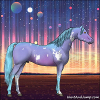 Horse Color:Gray Watercolor White Spotted Brown Dun Rabicano