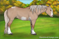 Horse Color:Silver Bay Dun Sabino Tobiano Frame Rabicano 