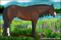 Horse Color:Brown 