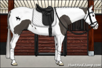 Horse Color:Smoky Black Splash Tobiano