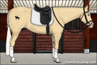 Horse Color:Silver Classic Cream Champagne 