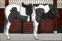 Horse Color:Black Tobiano 