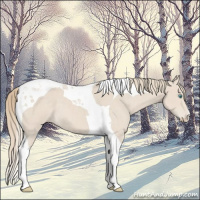 Horse Color:Smoky Creme Tobiano 