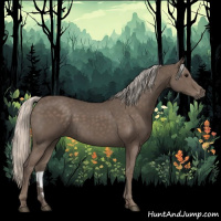 Horse Color:Silver Black 