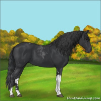 Horse Color:Black Tobiano 