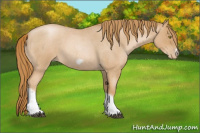 Horse Color:Red Roan Pearl Tobiano Frame 
