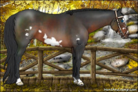 Horse Color:Brown Frame 