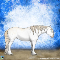 Horse Color:Perlino Dun Splash  and Perlino Dun Splash Frame 