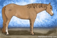 Horse Color:Chestnut  and Chestnut 