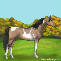 Horse Color:Bay Roan Dun Tobiano