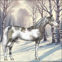 Horse Color:Platinum White Spotted Liver Chestnut Mushroom Frame 
