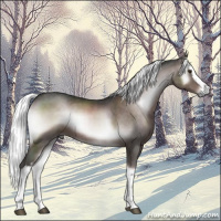 Horse Color:Platinum White Spotted Liver Red Onyx Mushroom 