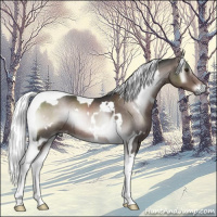 Horse Color:Platinum White Spotted Liver Red Onyx Mushroom Tobiano 