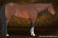 Horse Color:Brown 