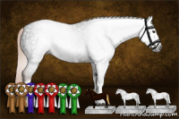 Horse Color:Gray White Spotted Liver Chestnut 