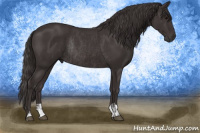 Horse Color:Smoky Black  and Smoky Black Rabicano 